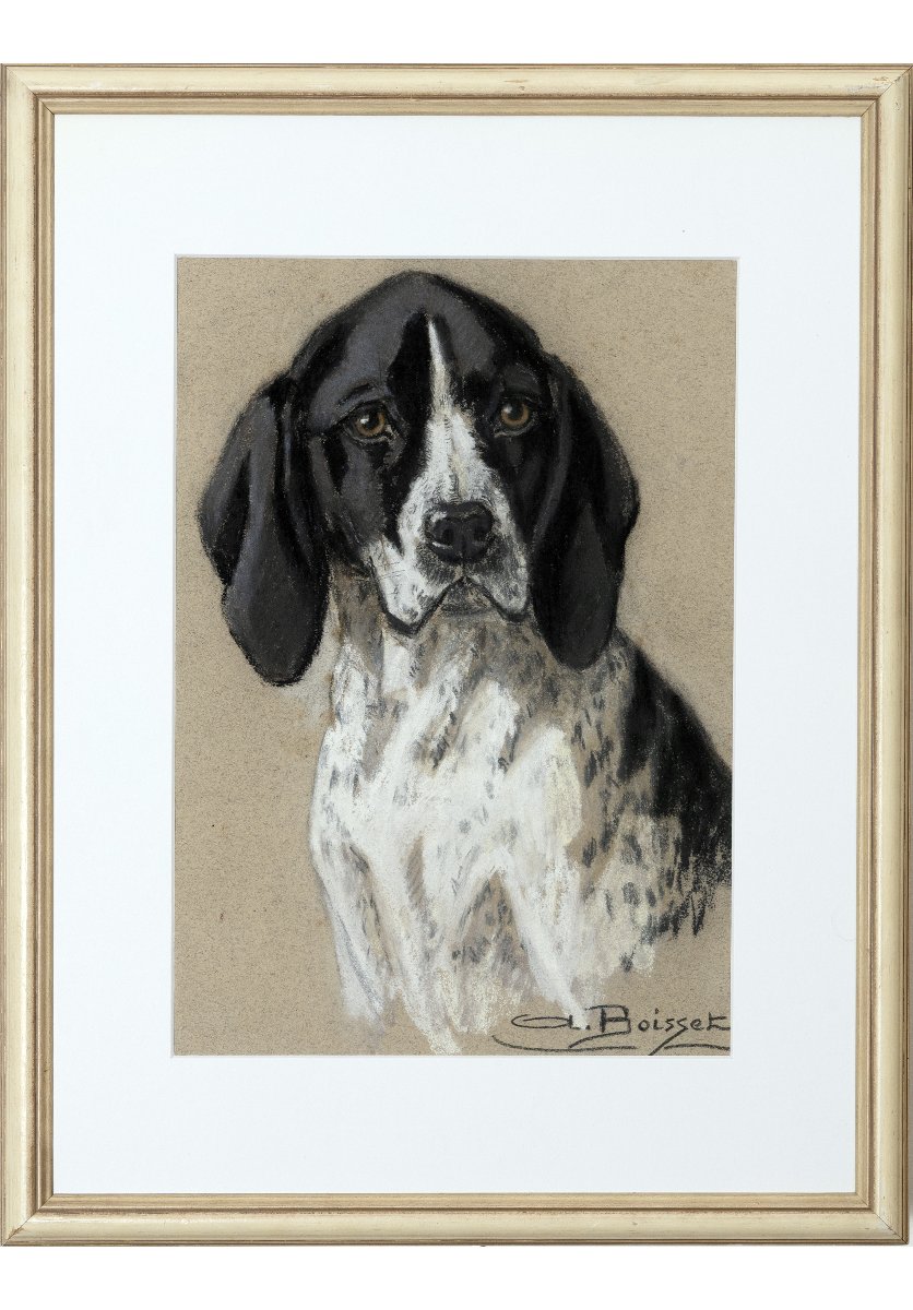 Aline BOISSET – Portrait de chien Braque d’Auvergne – Pastel – XXe -photo-2
