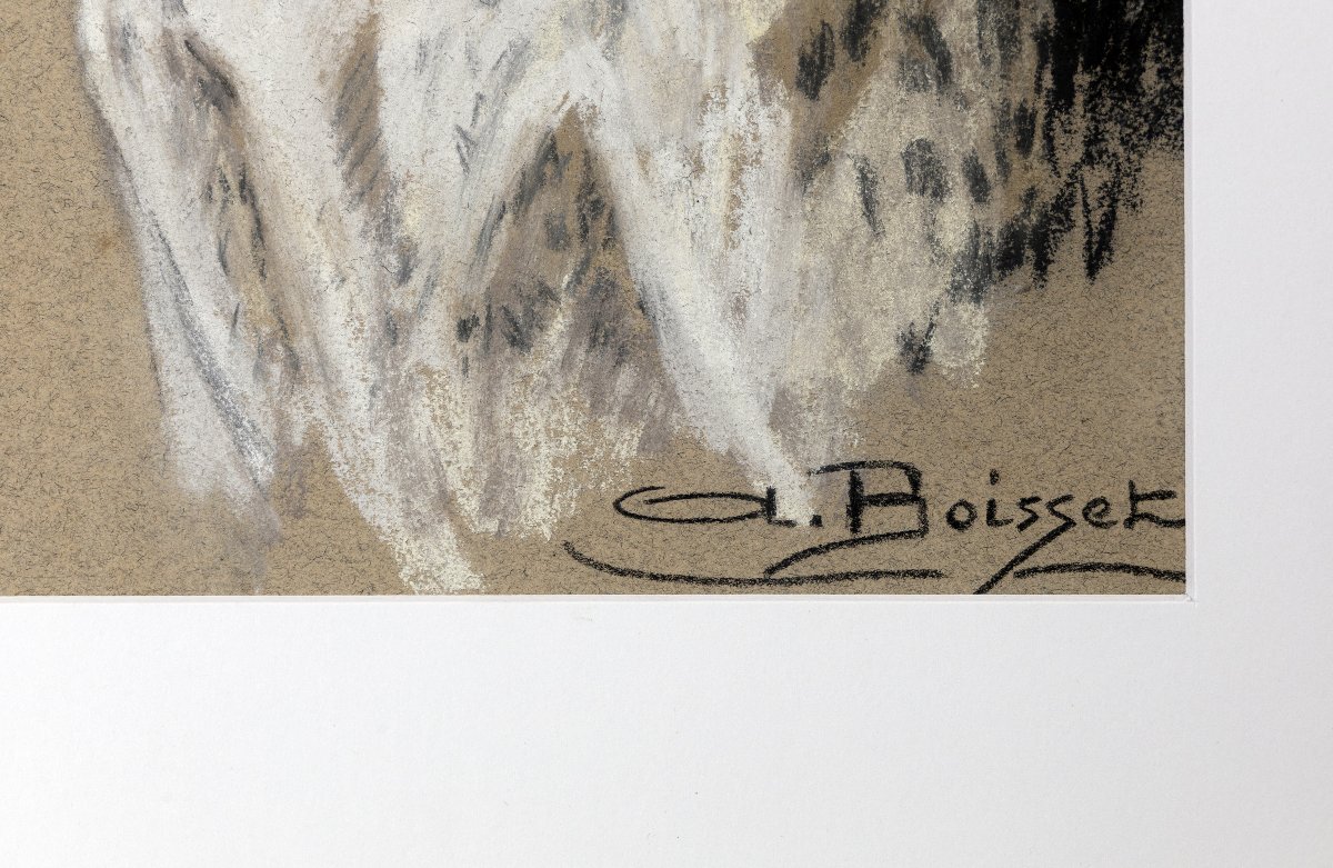 Aline BOISSET – Portrait de chien Braque d’Auvergne – Pastel – XXe -photo-3