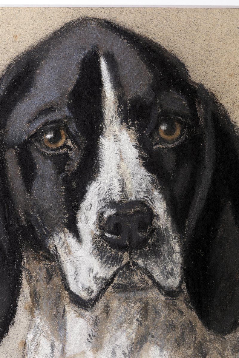 Aline BOISSET – Portrait de chien Braque d’Auvergne – Pastel – XXe -photo-2
