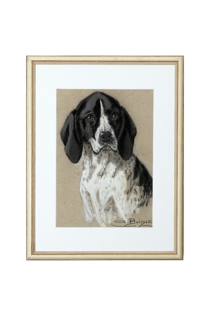 Aline BOISSET – Portrait de chien Braque d’Auvergne – Pastel – XXe -photo-5