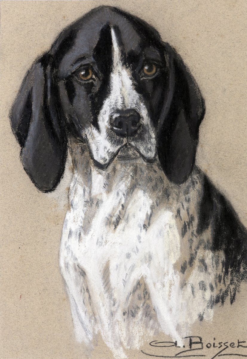 Aline BOISSET – Portrait de chien Braque d’Auvergne – Pastel – XXe 