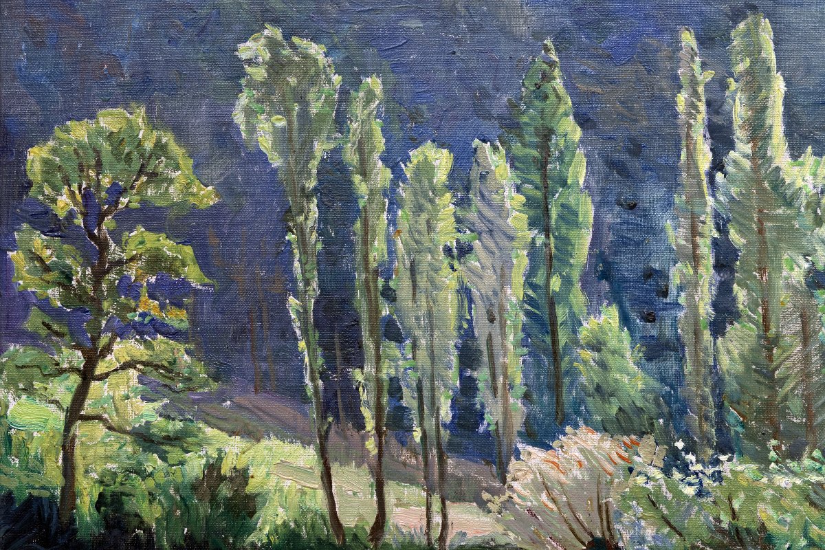 Constantin FONT – Bord de rivière au pied des montagnes – Huile sur toile – Signée-photo-2