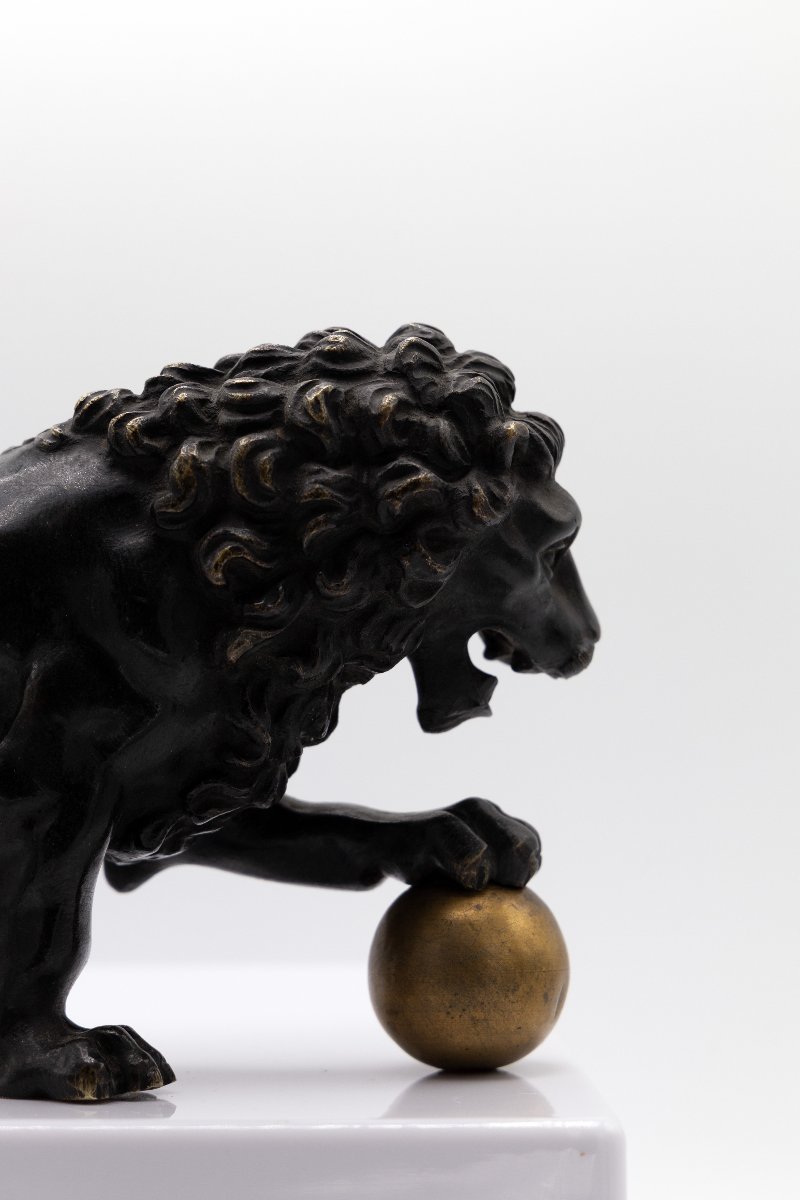 Lion « à la Médicis » – Bronze patine noire – fin XIXe ou début XXe-photo-3