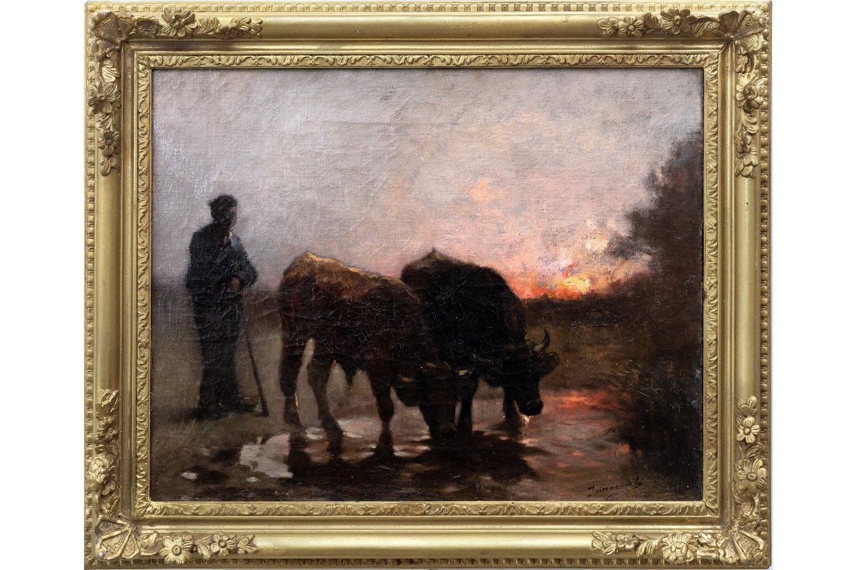 Guglielmo INNOCENTI – Bœufs s’abreuvant au crépuscule – Huile sur toile - Signée-photo-2