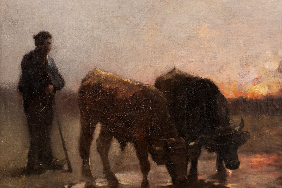 Guglielmo INNOCENTI – Bœufs s’abreuvant au crépuscule – Huile sur toile - Signée-photo-1