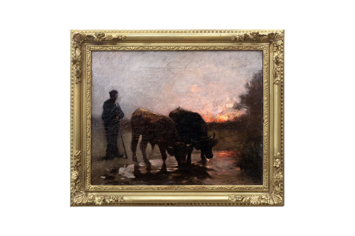 Guglielmo INNOCENTI – Bœufs s’abreuvant au crépuscule – Huile sur toile - Signée-photo-5