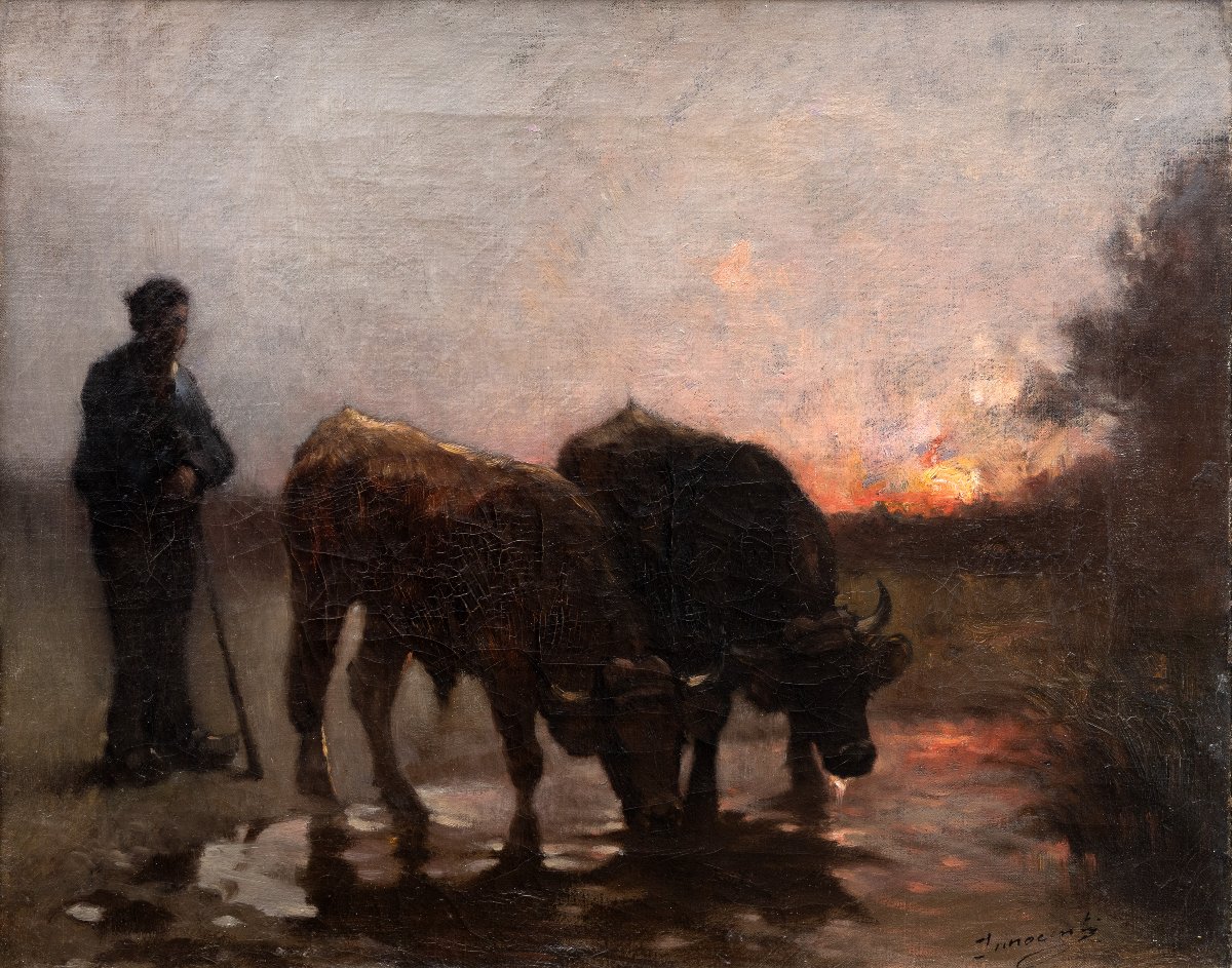 Guglielmo INNOCENTI – Bœufs s’abreuvant au crépuscule – Huile sur toile - Signée