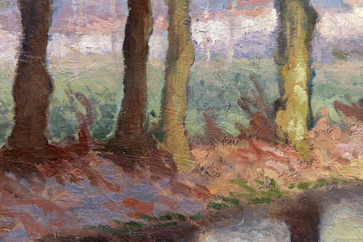 Row Of Trees Along The River – Oil On Canvas, Signed “colli” – Mid-20th Century-photo-1