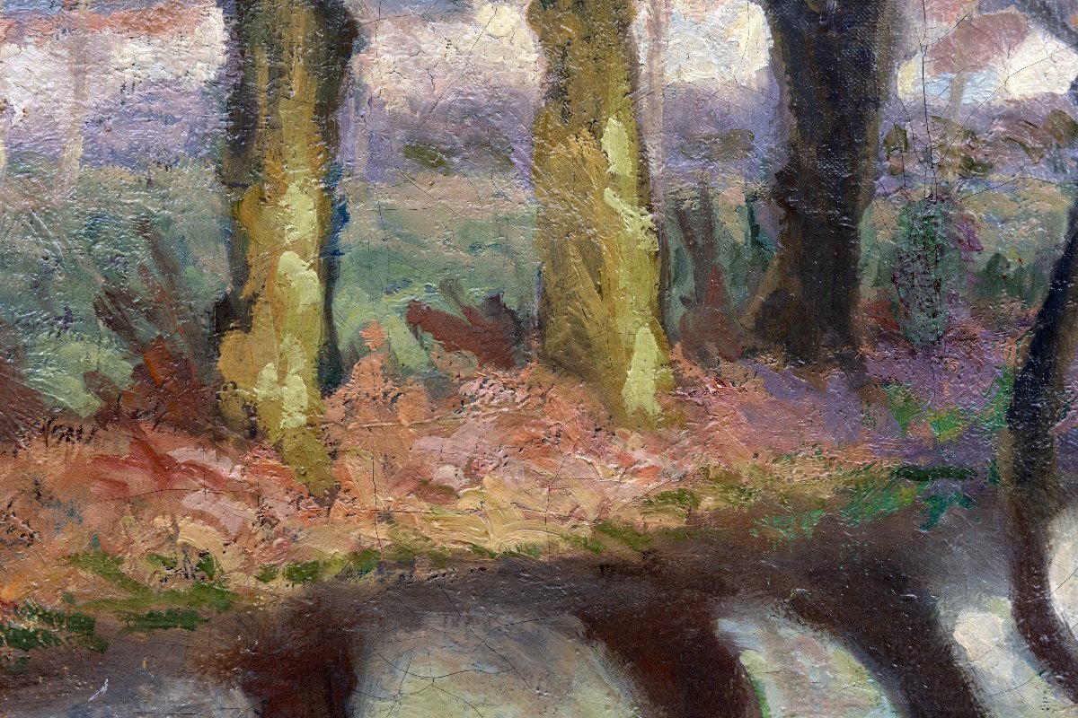 Row Of Trees Along The River – Oil On Canvas, Signed “colli” – Mid-20th Century-photo-2