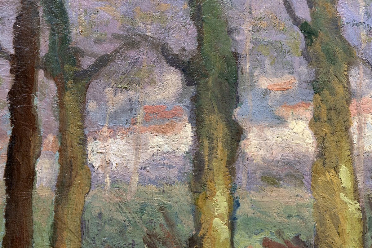 Row Of Trees Along The River – Oil On Canvas, Signed “colli” – Mid-20th Century-photo-4