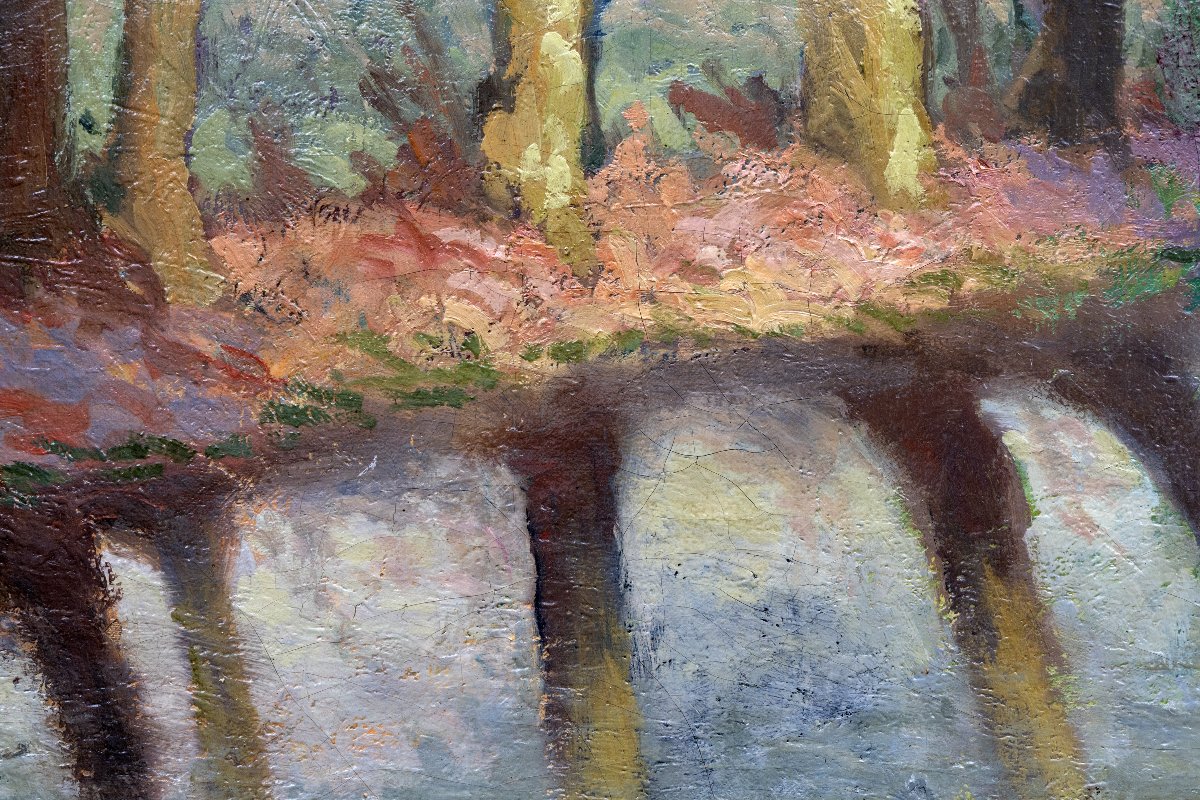 Row Of Trees Along The River – Oil On Canvas, Signed “colli” – Mid-20th Century-photo-5