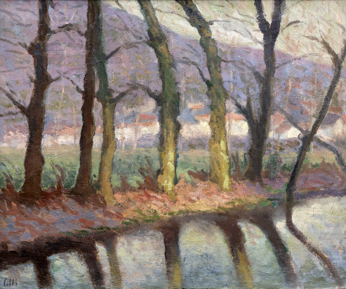 Row Of Trees Along The River – Oil On Canvas, Signed “colli” – Mid-20th Century