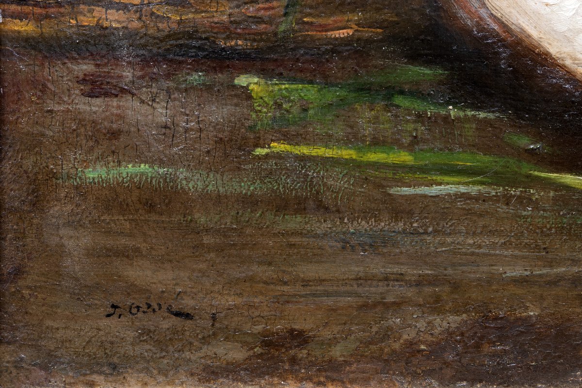 Marseille – Joseph ODDE – Nature morte Retour de pêche– Huile sur panneau – Signée-photo-3