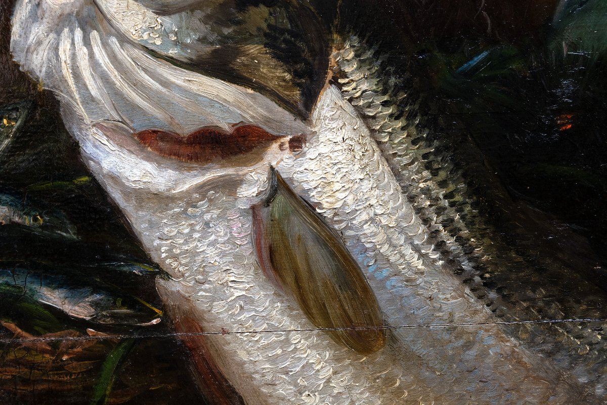 Marseille – Joseph ODDE – Nature morte Retour de pêche– Huile sur panneau – Signée-photo-2