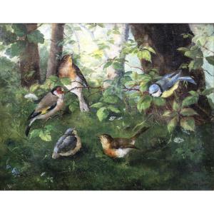 Marcel d'Aubépine – Small Birds In An Undergrowth – Oil On Canvas – Signed 