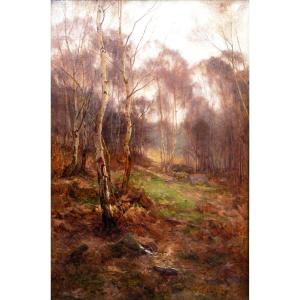 William Edwin TINDALL – Sous-bois en automne – Huile sur toile – Signée