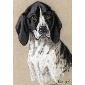 Aline Boisset – Portrait Of An Auvergne Pointer – Pastel – 20th Century