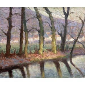 Rangée d’arbres au bord de la rivière – Huile sur toile signée Colli – milieu XXe