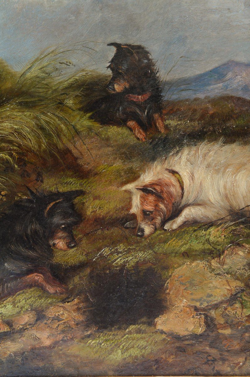 Terriers écossais  Chassant Dans Les Highlands signé "Gordon ( Sir John Watson Gordon 1790-1864)-photo-2