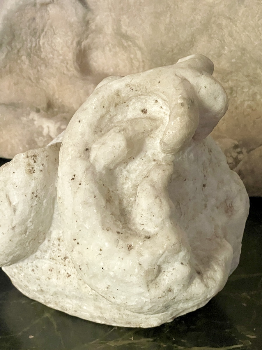 A White Marble Fragment Depicting Two Dolphins-photo-2