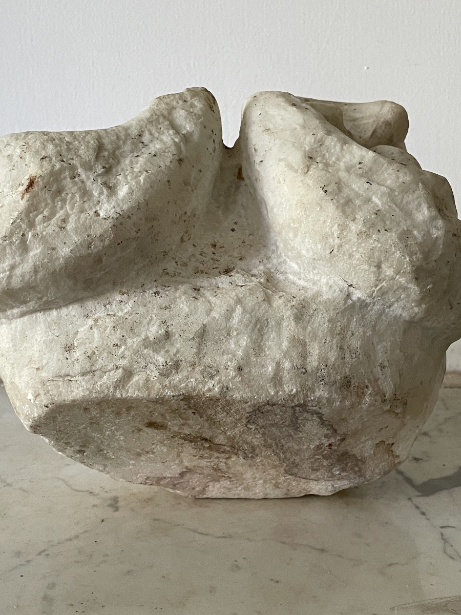 A White Marble Fragment Depicting Two Dolphins-photo-2