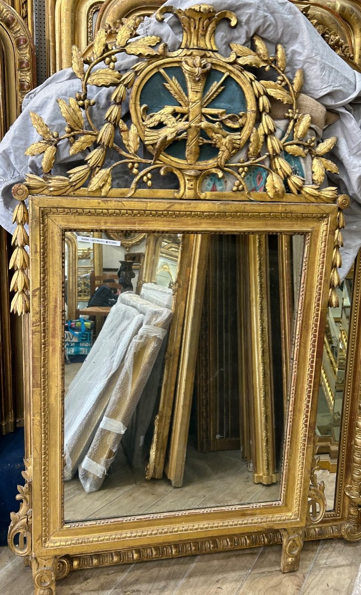 Miroir D’époque Louis XVI Oiseaux. 157x91cm