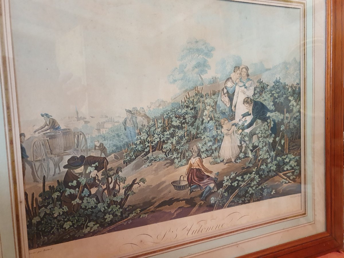 Suite de gravures couleur 19e siècle-photo-4