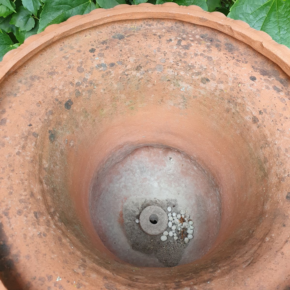 Medici Terracotta Vase-photo-4