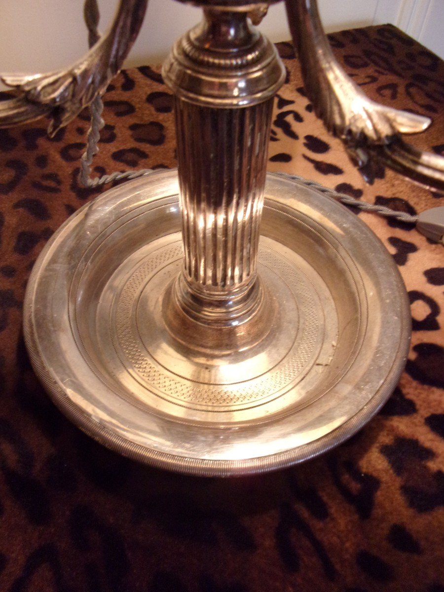 Hot Water Bottle Lamp Silver Bronze-photo-2