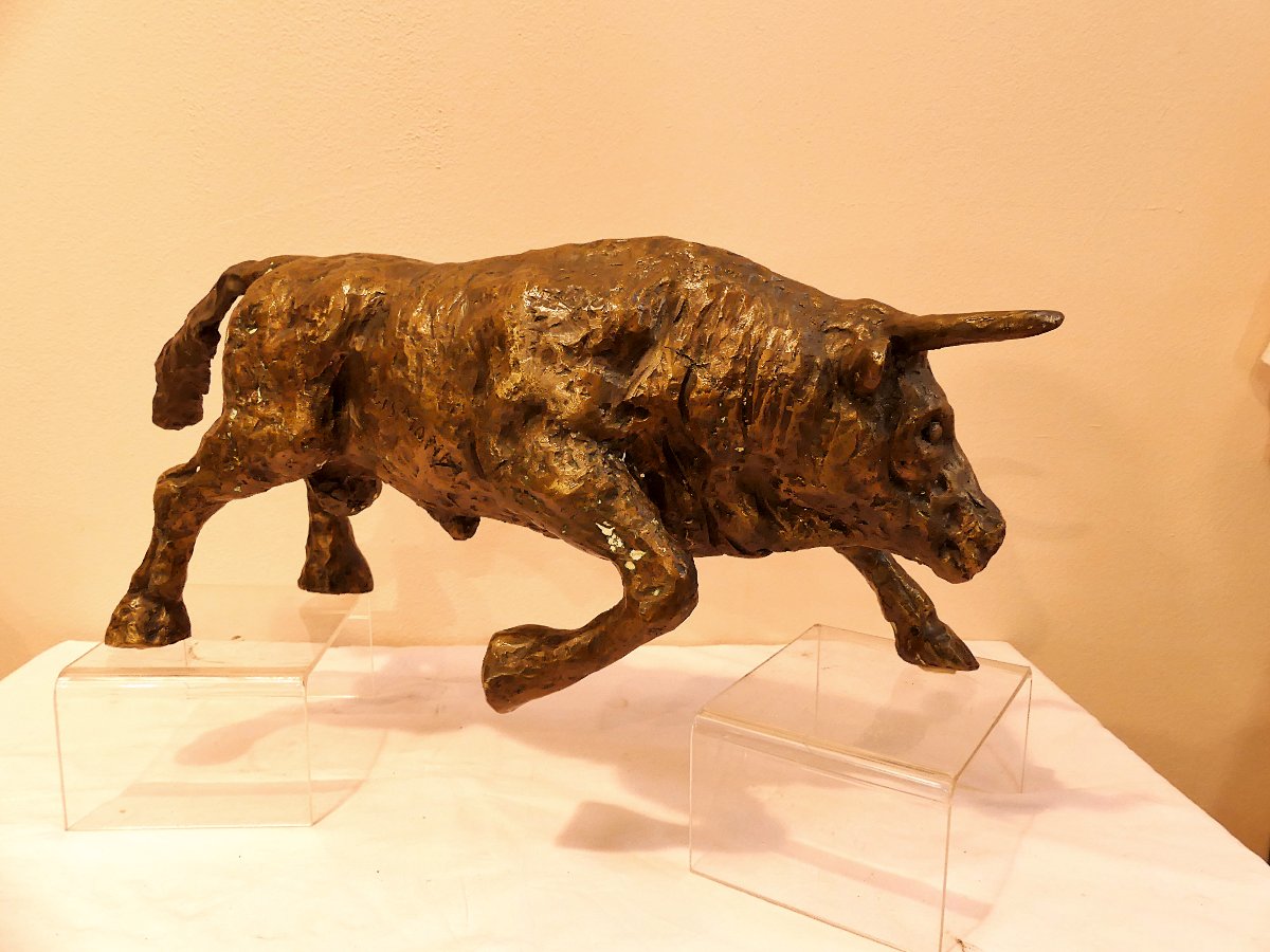 Tommaso Gismondi "the Bull"-photo-2