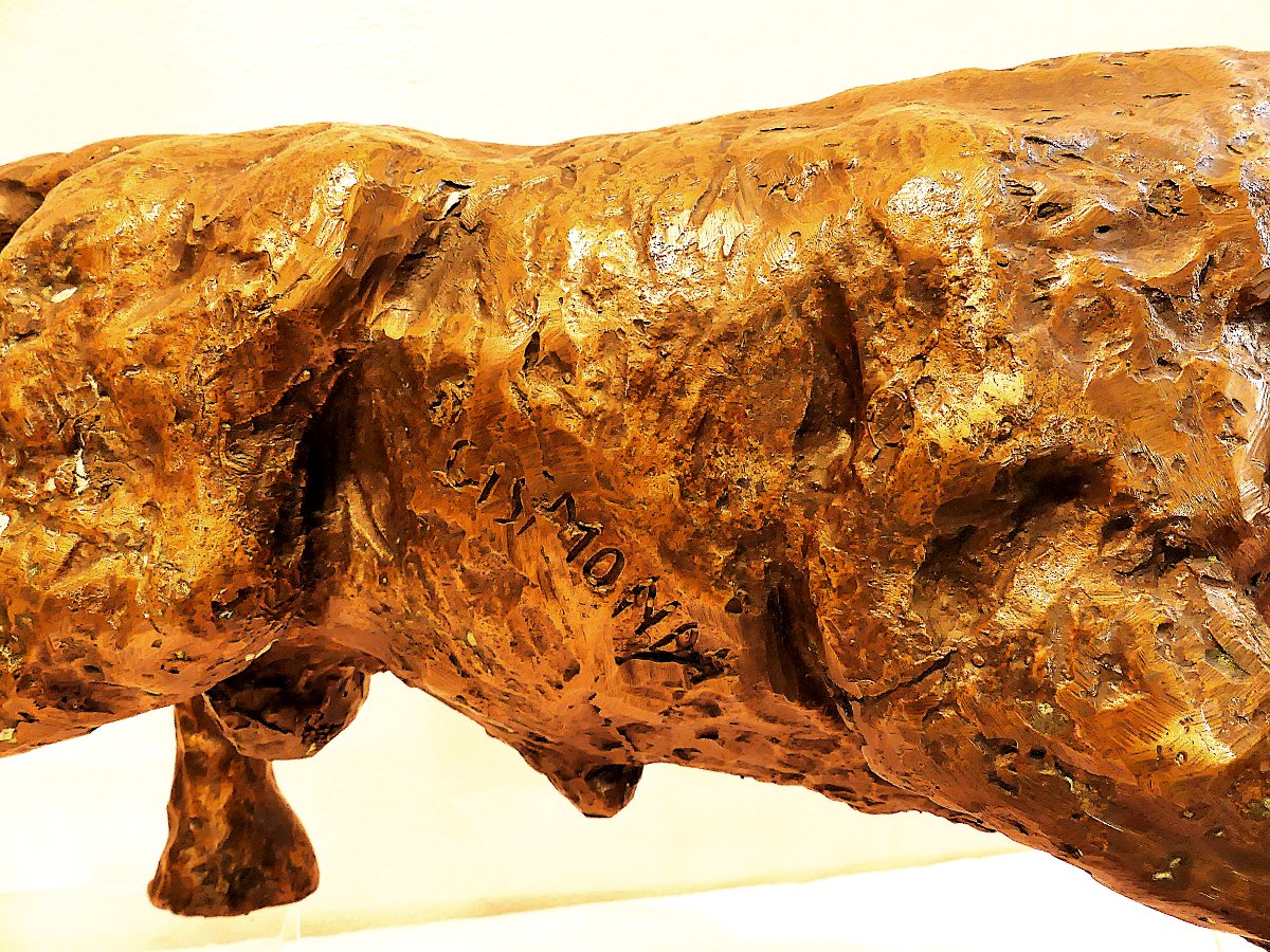 Tommaso Gismondi "the Bull"-photo-3