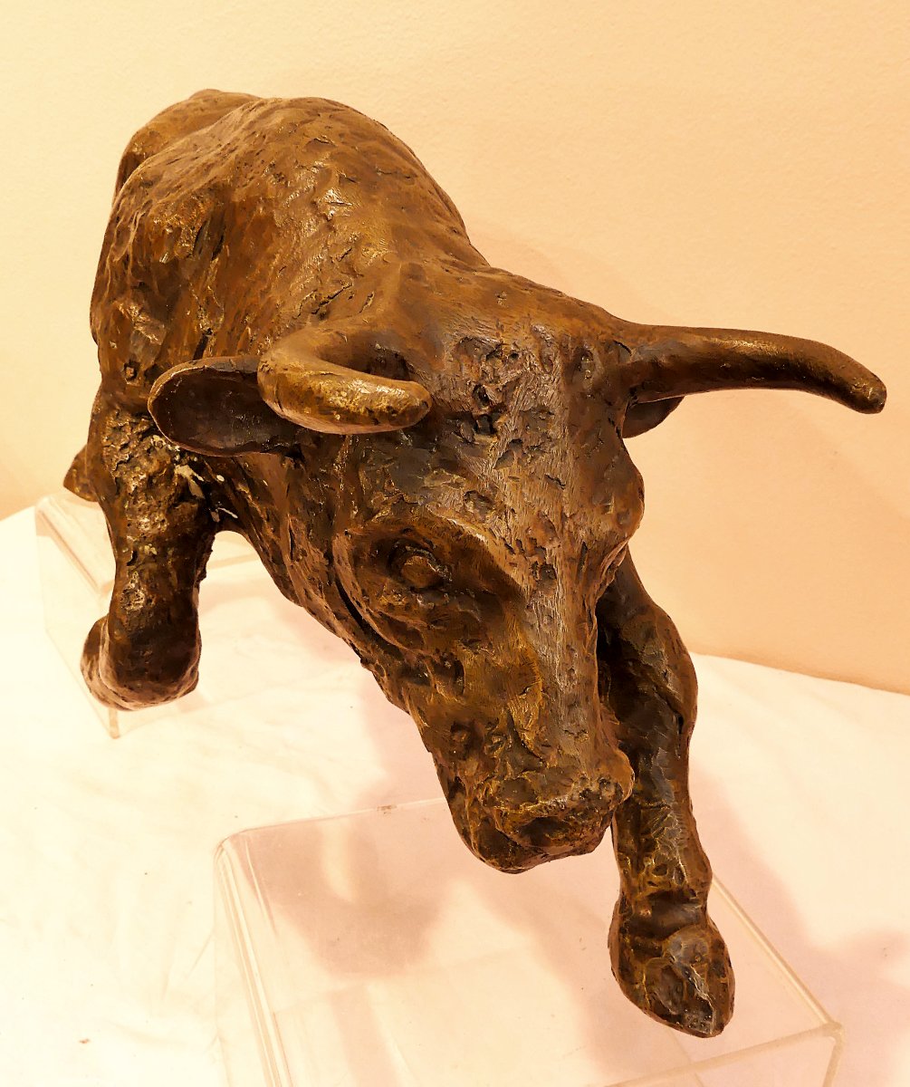 Tommaso Gismondi "the Bull"-photo-2