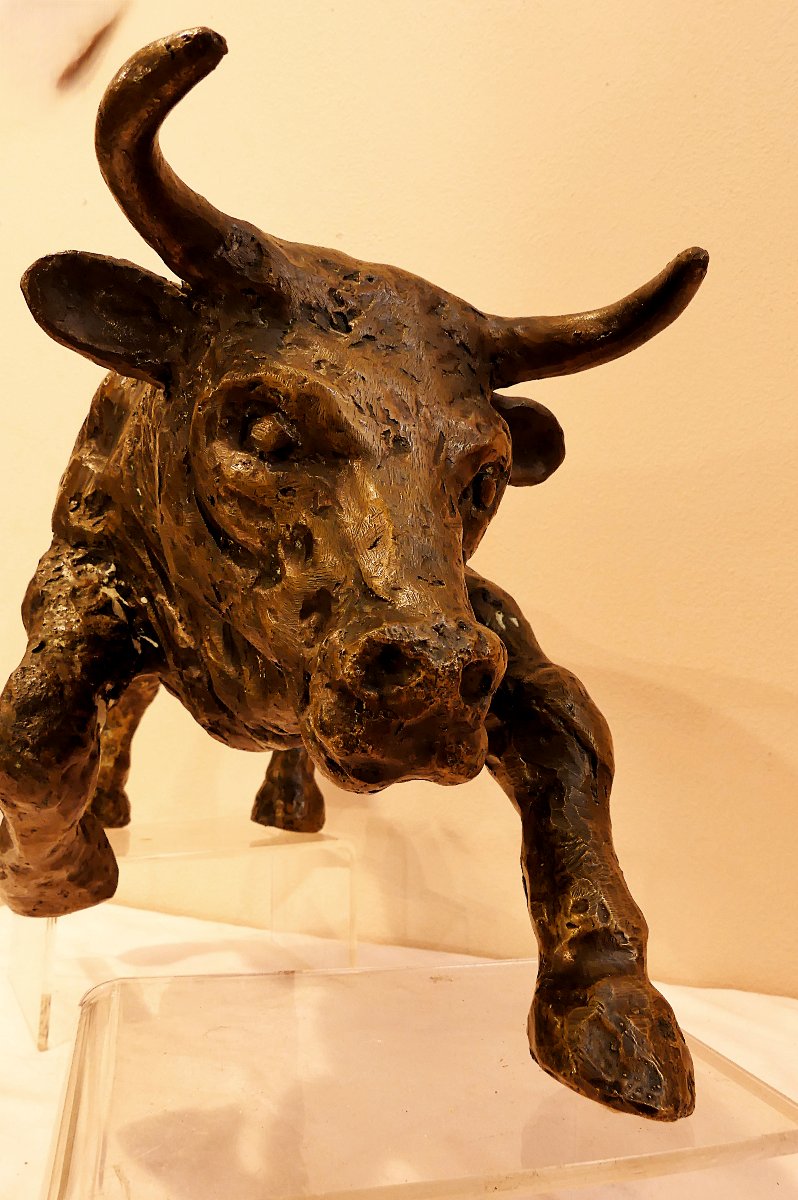 Tommaso Gismondi "the Bull"-photo-3