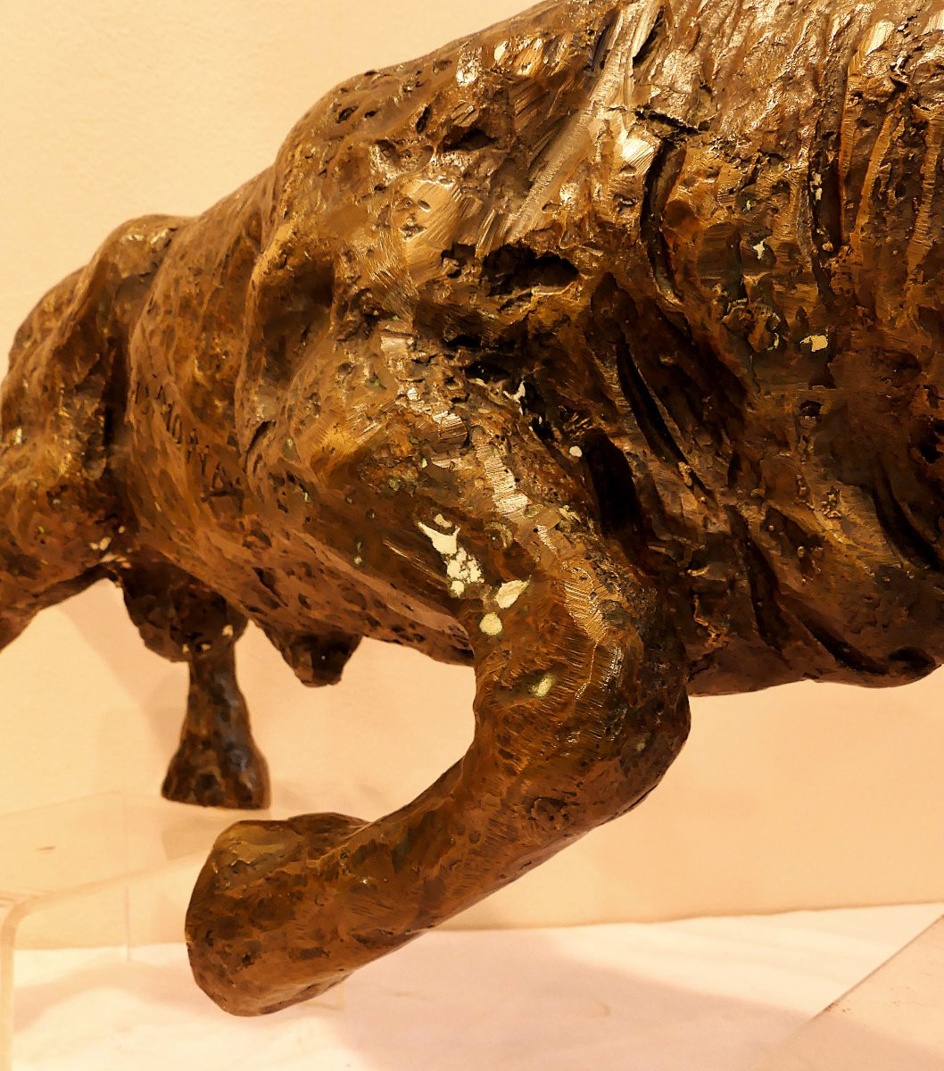 Tommaso Gismondi "the Bull"-photo-4