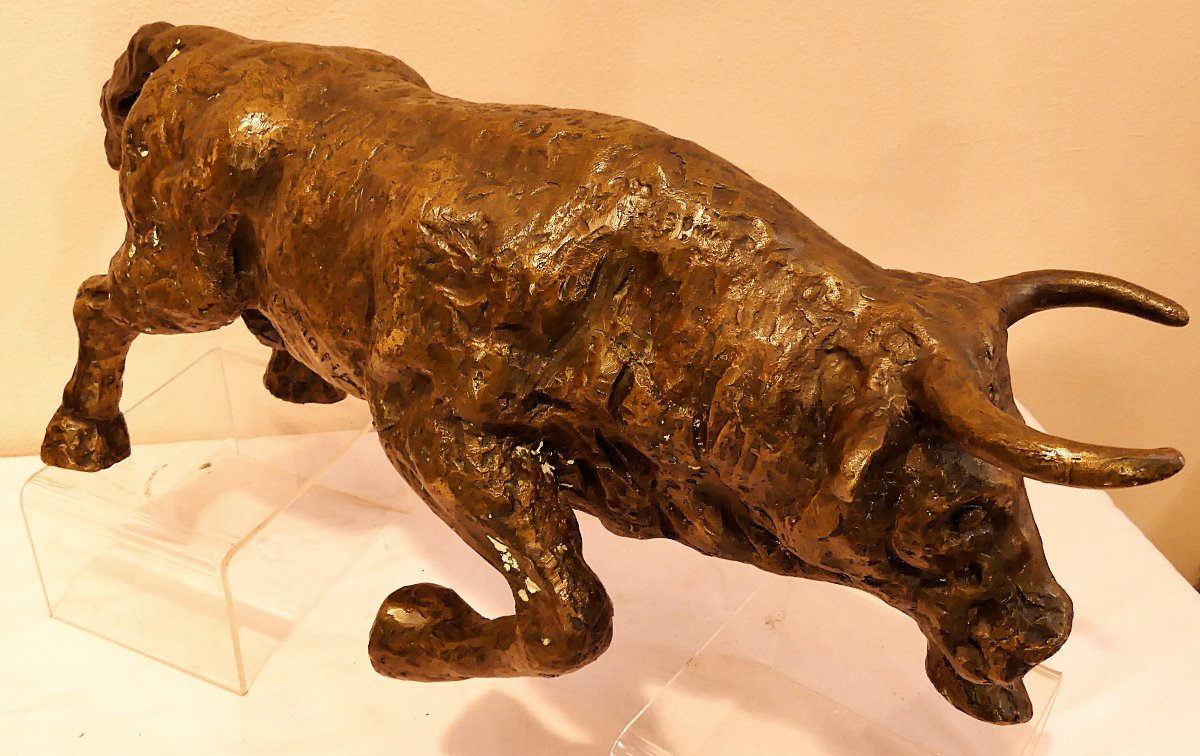 Tommaso Gismondi "the Bull"-photo-5