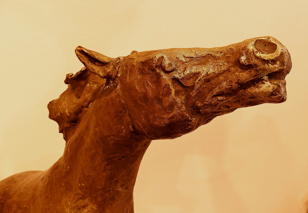 TOMMASO GISMONDI LE CHEVAL QUI SE GABARIT-photo-3