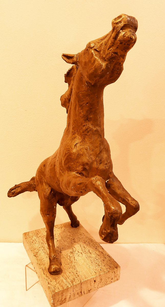 TOMMASO GISMONDI LE CHEVAL QUI SE GABARIT-photo-1