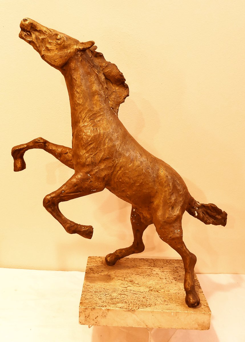 TOMMASO GISMONDI LE CHEVAL QUI SE GABARIT-photo-2