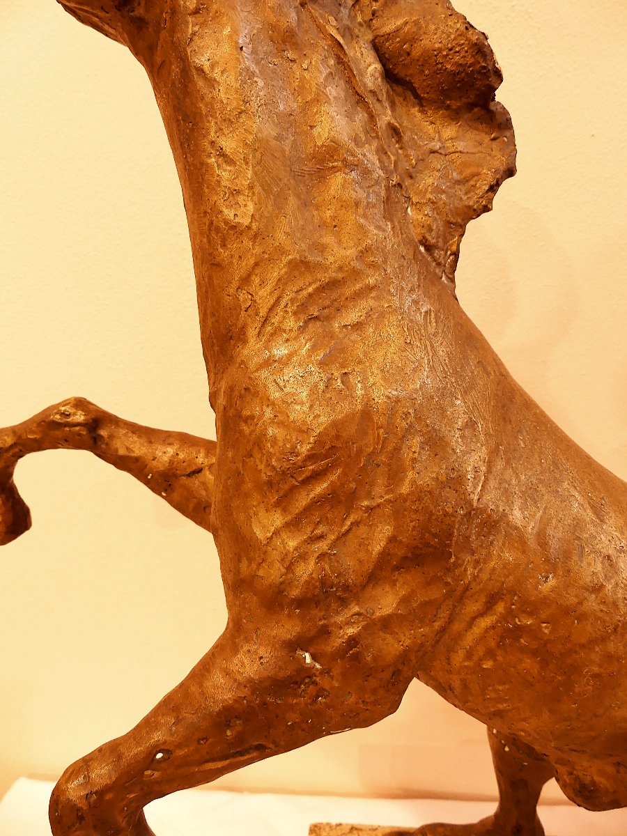 TOMMASO GISMONDI LE CHEVAL QUI SE GABARIT-photo-3