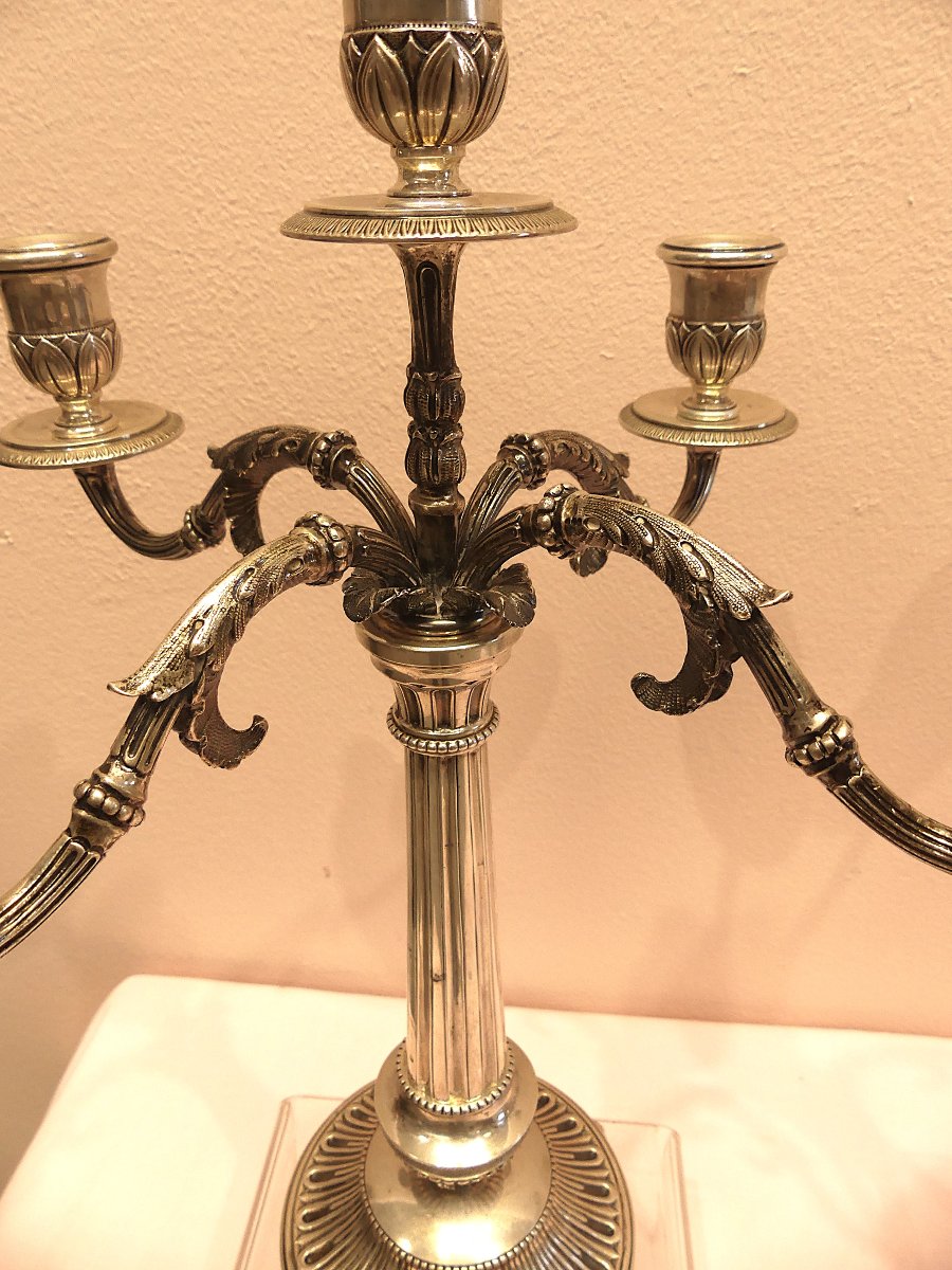 Milan Les frères de Leone  -photo-6