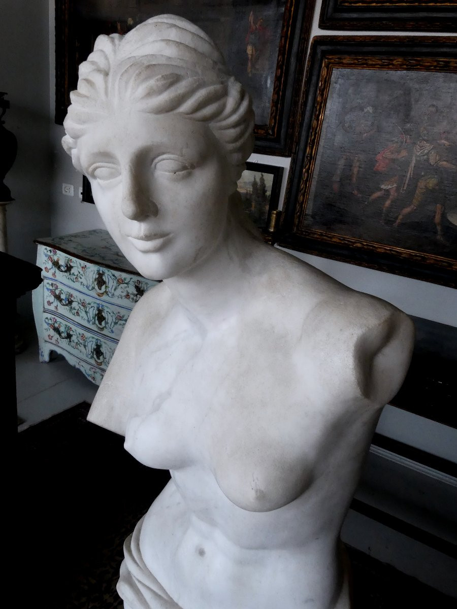 grande Vénus de la période néoclassique-photo-4