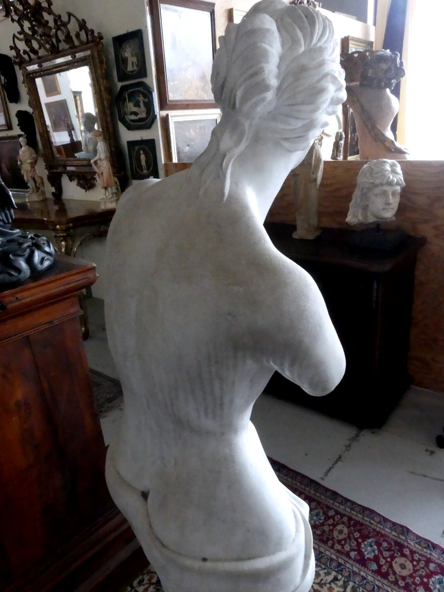 grande Vénus de la période néoclassique-photo-2