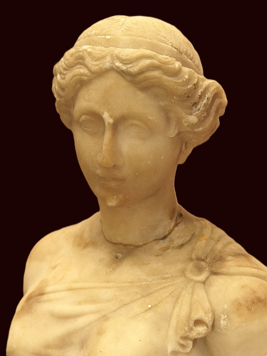 XVIII Century-photo-3