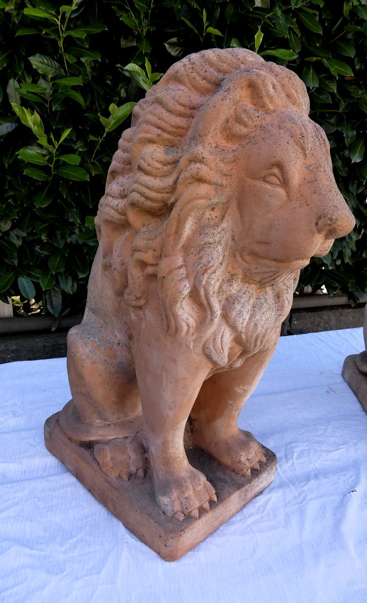 Early XX Century-photo-3