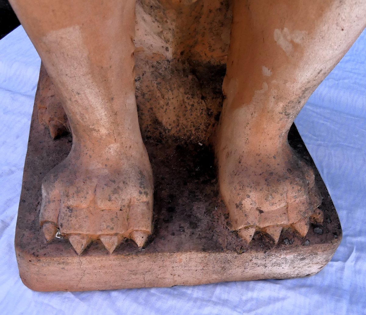 Early XX Century-photo-5