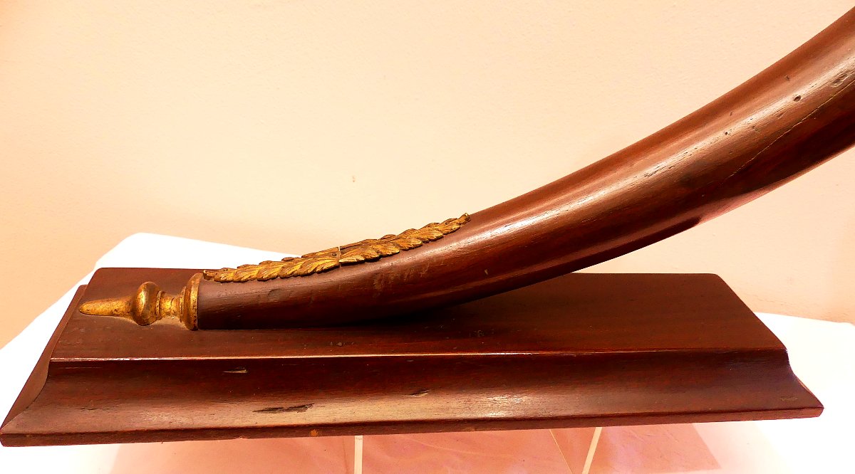 Piedmont XIX Century-photo-4