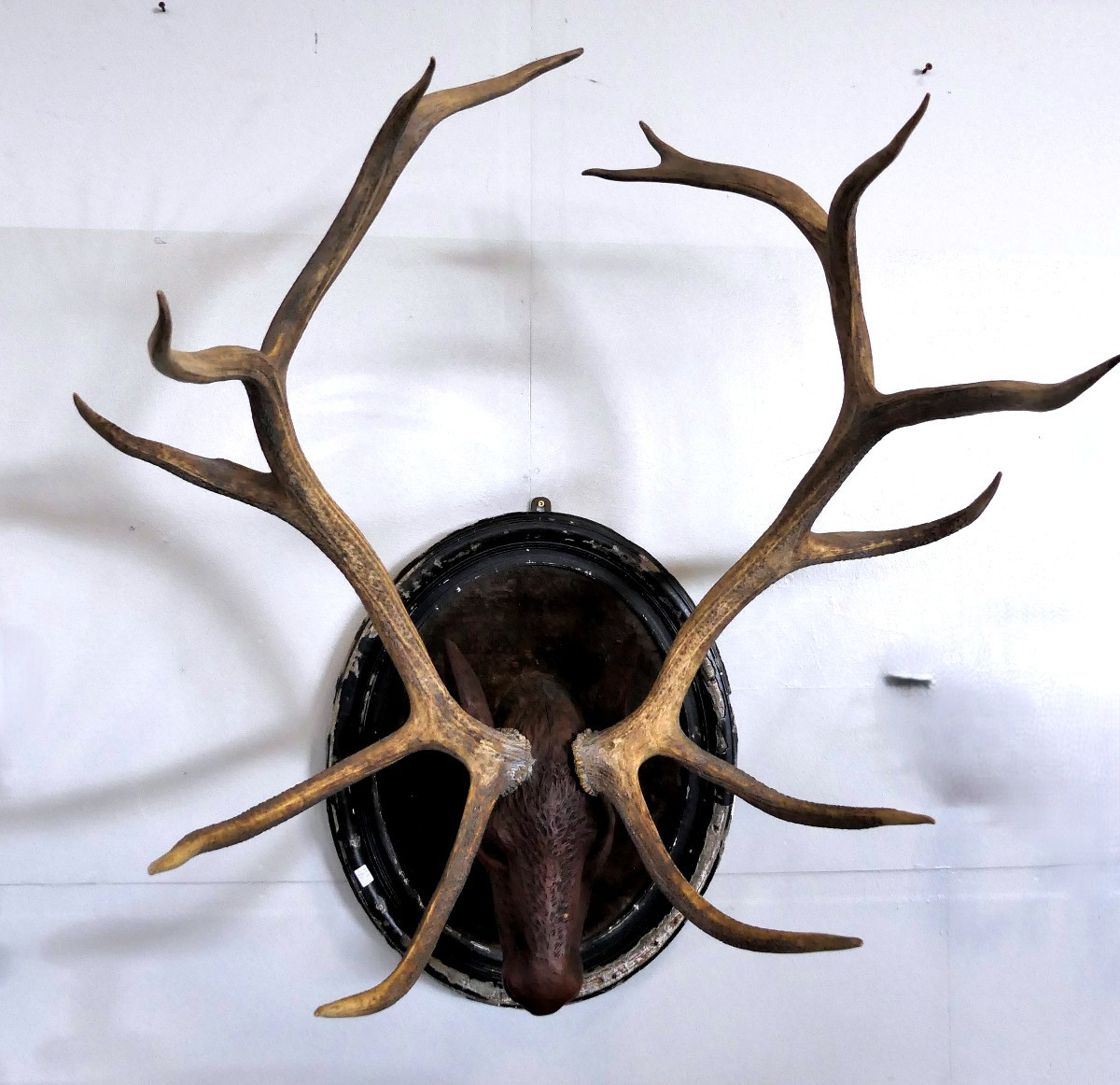 Black Forest 19th Century