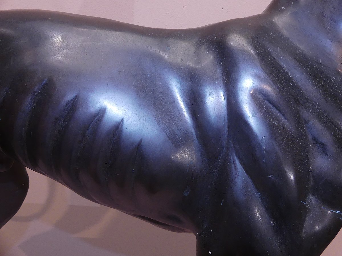 Early XX Century-photo-2