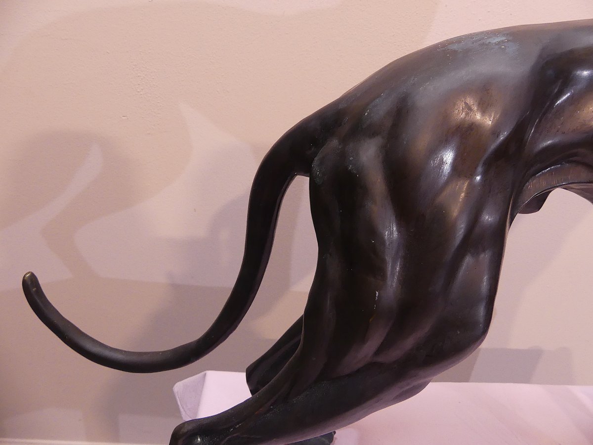 Early XX Century-photo-3