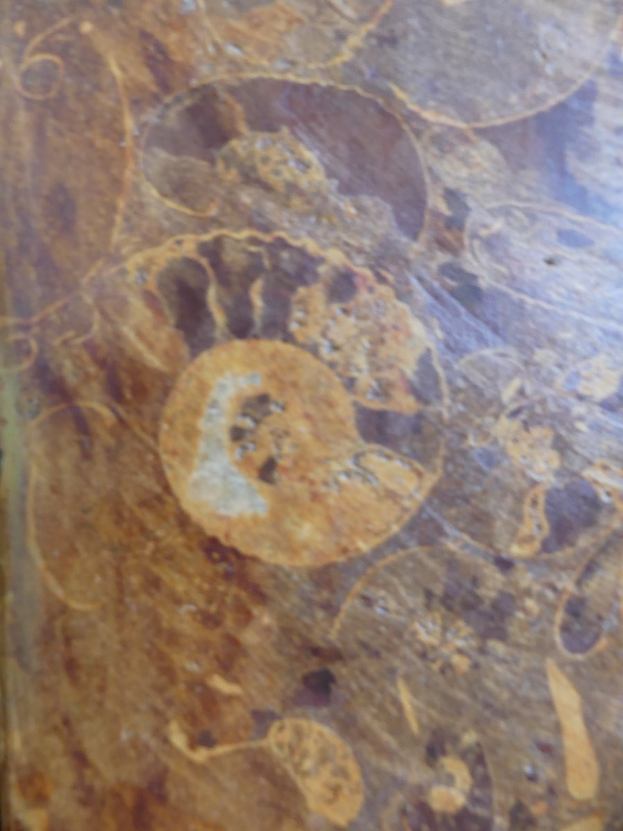 Colonies britanniques de l'Indo-Pacifique, XIXe siècle-photo-1